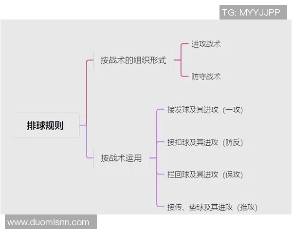 西安排球队的排球进攻战术解析与实战应用探讨